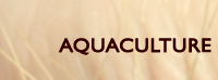 Aquacuture